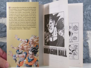 Dragon Ball 42 La Victoire (04)